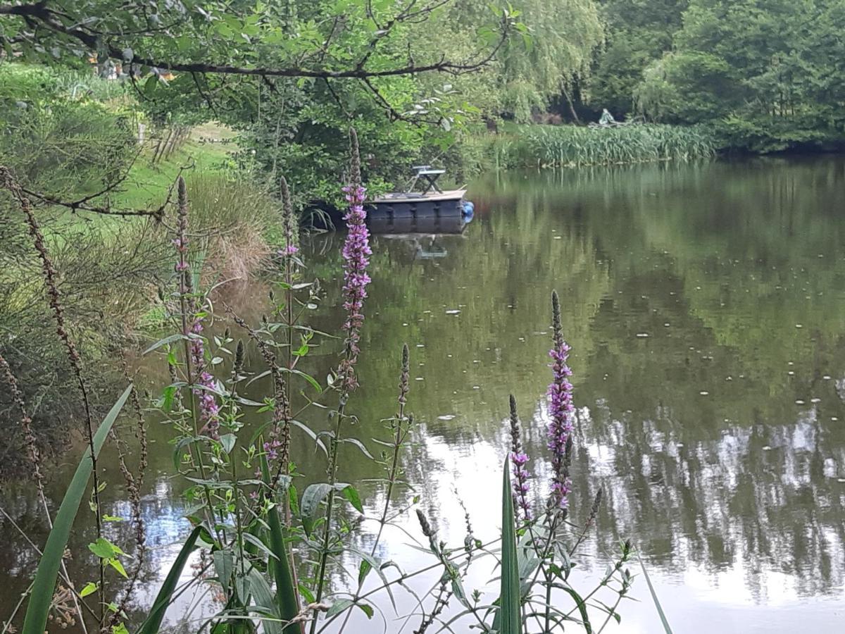 A Private Lakeside Retreat-Do You Love Nature Renac Extérieur photo
